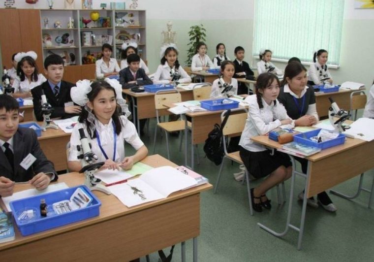 В Казахстане предлагают законодательно разрешить детям не ходить в школу