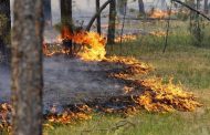 Третий день борются с лесостепными пожарами в Костанайской области