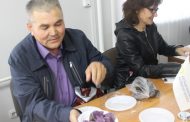 «Инновационный» картофель выращивает глава КХ из Костанайской области
