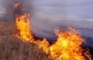 Территория Наурзумского заповедника горела в Костанайской области