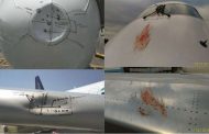 В 2018 году было зарегистрировано 37 случаев столкновений самолётов «Эйр Астаны» с птицами