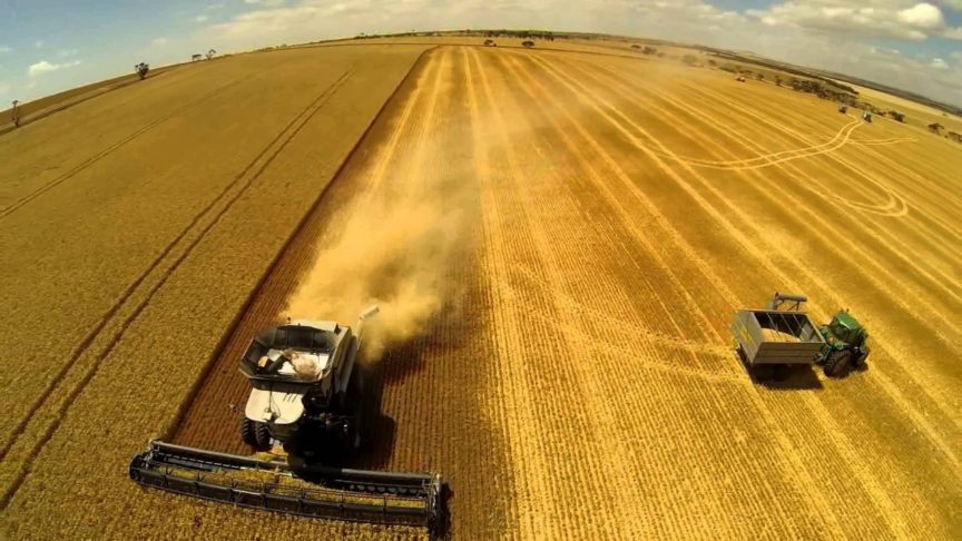 Казахстан: Уборка зерновых костанайскими аграриями выполнена на четверть