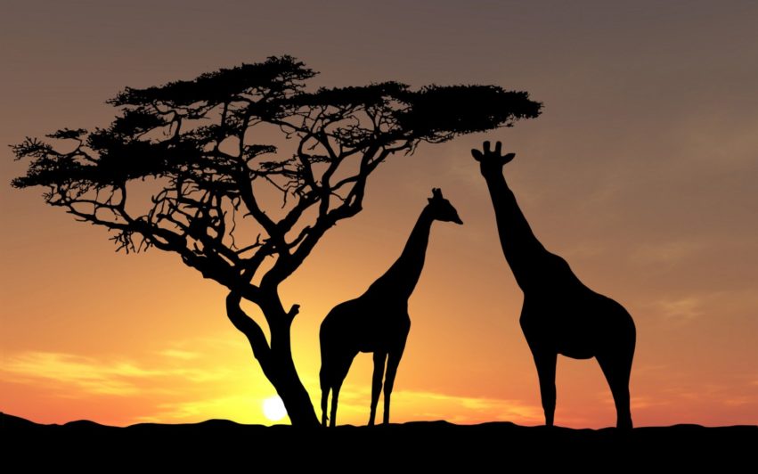 Жираф искусал до полусмерти туристов в ЮАР