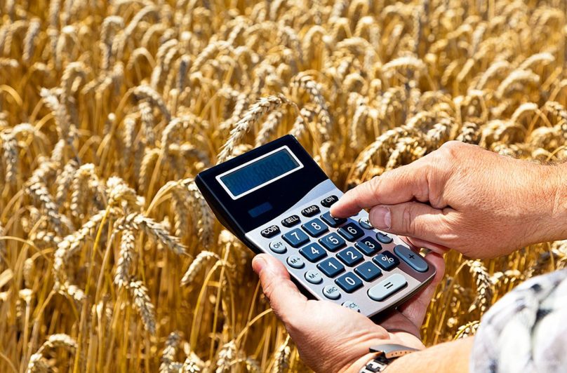 Кредиты под залог будущего урожая смогут получать казахстанцы