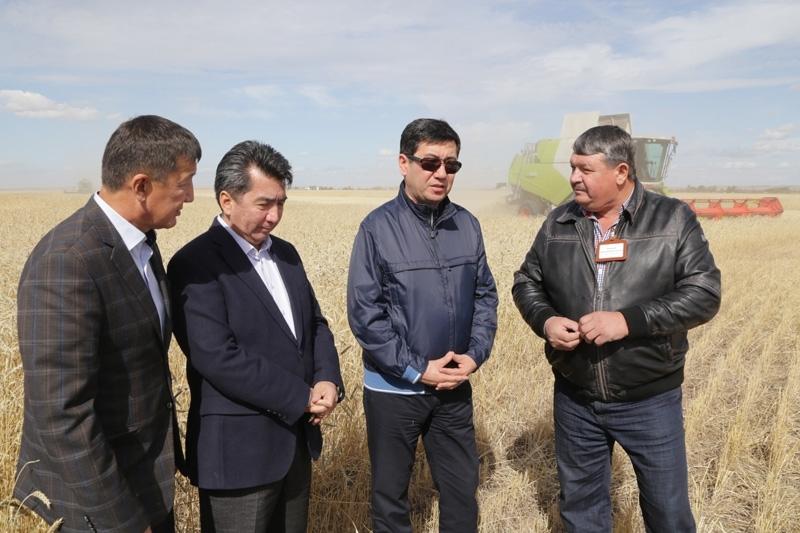 Пшеницу твёрдых сортов из Карагандинской области будут экспортировать в Европу
