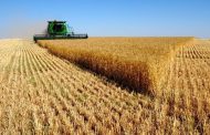 73% урожая собрано на сегодня в Казахстане — У. Шукеев