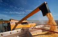 Поставки казахстанской и российской пшеницы в Иран застопорились