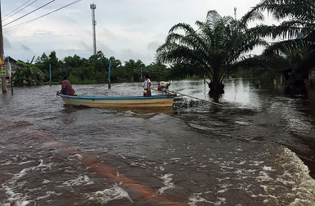 В Таиланде в результате наводнения пострадали более 162 тыс. человек