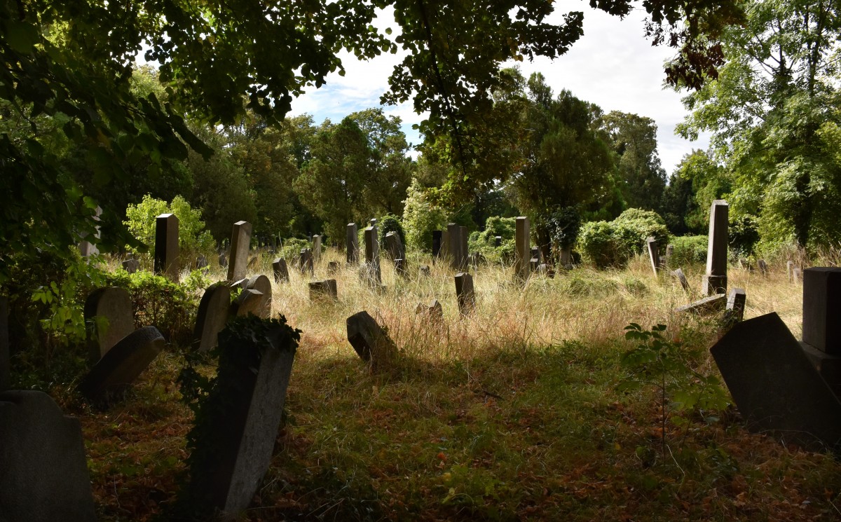 В Актобе пожар на старом кладбище уничтожил десятки могил