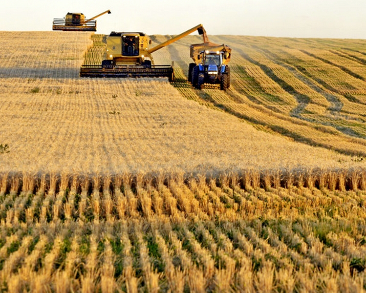 В Казахстане намолочено более 5,5 млн. тонн зерна урожая-2018