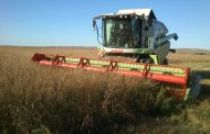В Казахстане с 70% площадей намолочено 13,5 млн. тонн зерна
