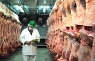 Казахстан и Россия договорились не вводить запрет на поставки мяса