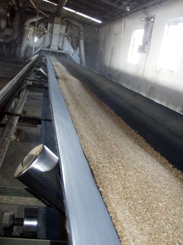 Казахстан: Наибольшую прибавку зерна за август получила Костанайская область