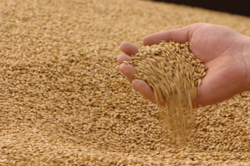 На миллион тенге похитили зерно в Акмолинской области