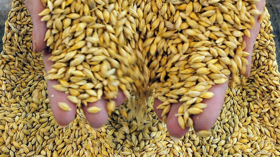 Костанайская область экспортировала 2,1 млн тонн зерна
