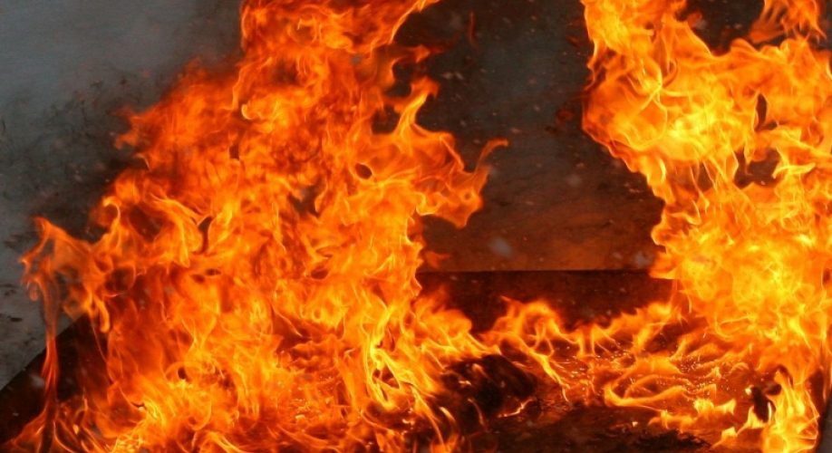 Вчера в Наурзумском районе, в селе Буревестник произошёл пожар Площадь возгорания составила 1 гектар