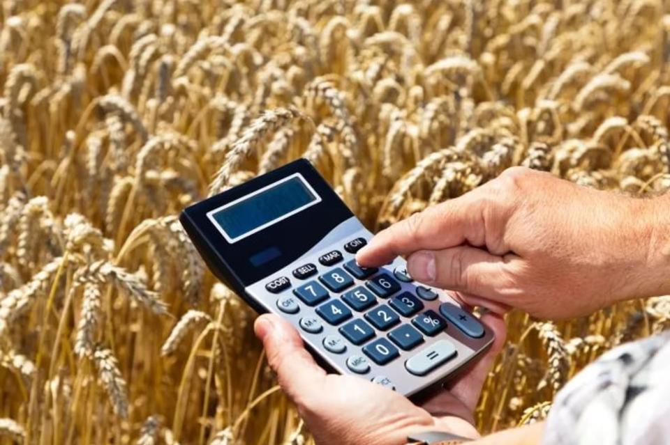 В Казахстане 64 фермерских хозяйства попали в долговую зависимость