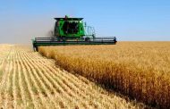 Сельхозпроизводство в Казахстане выросло на 2%