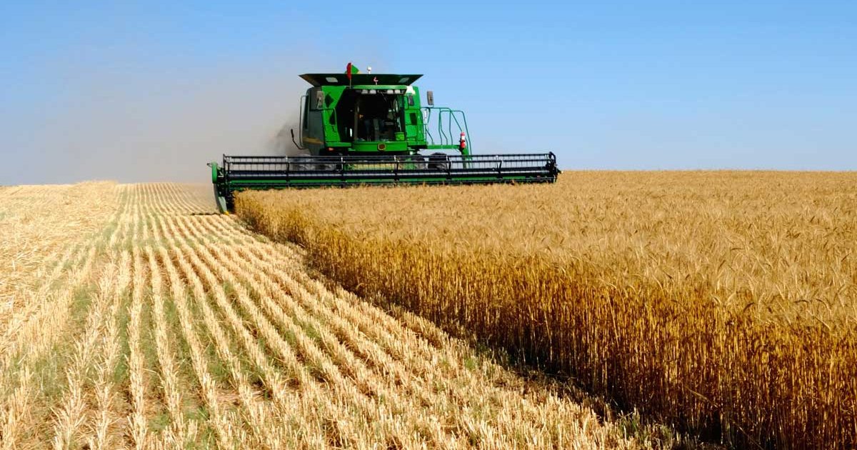 Сельхозпроизводство в Казахстане выросло на 2%