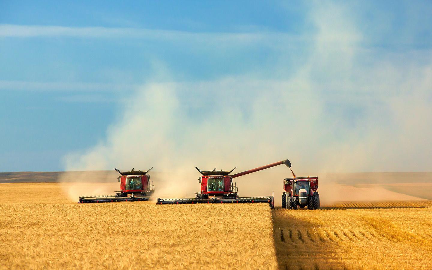 Ко 2 октября в Казахстане намолочено более 17,6 млн. тонн зерна
