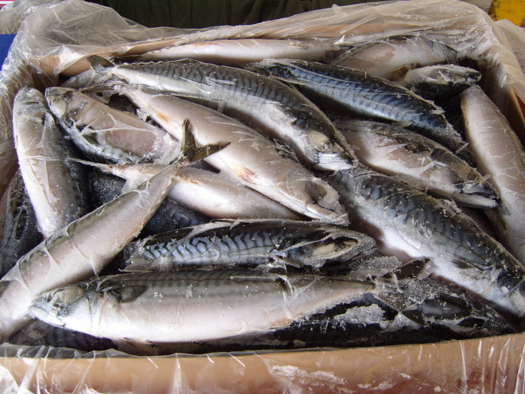 Более тонны рыбы незаконно перевозил житель Казахстана через Алтайский край