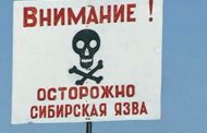 Роспотребнадзор сообщает о распространении сибирской язвы в Казахстане и Украине