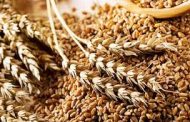 В  Костанае строится новое предприятие  по  глубокой переработке  зерна