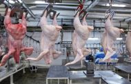 Россия ограничит транзит мяса птицы из США в Казахстан