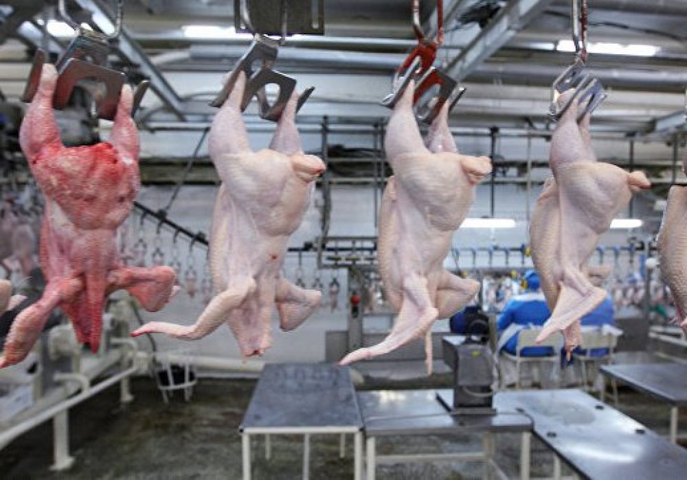 Россия ограничит транзит мяса птицы из США в Казахстан