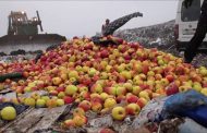 На Южном Урале уничтожили 381 тонну санкционки, привезенной из Казахстана