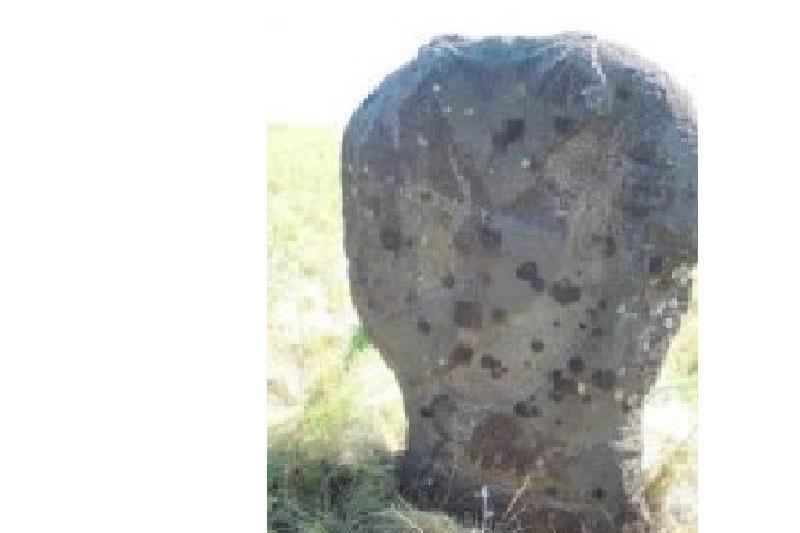 Каменное изваяние воина нашли в Костанайской области
