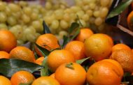В Омск не пустили 40 тонн пакистанских мандарин и 37 тонн винограда из Казахстана