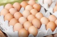 МСХ РК: в 2019 году Казахстан планирует отправить на экспорт миллиард яиц