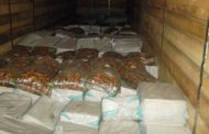 Омские пограничники задержали 40 тонн сухофруктов и огурцов из Казахстана