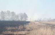 Полевой пожар перекинулся из Костанайской области на территорию России