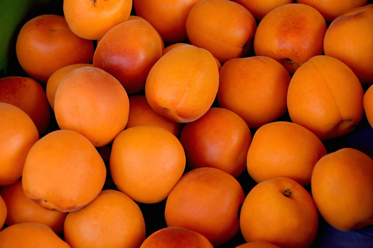 Челябинский Россельхознадзор не пропустил из Казахстана 20 тонн абрикосов