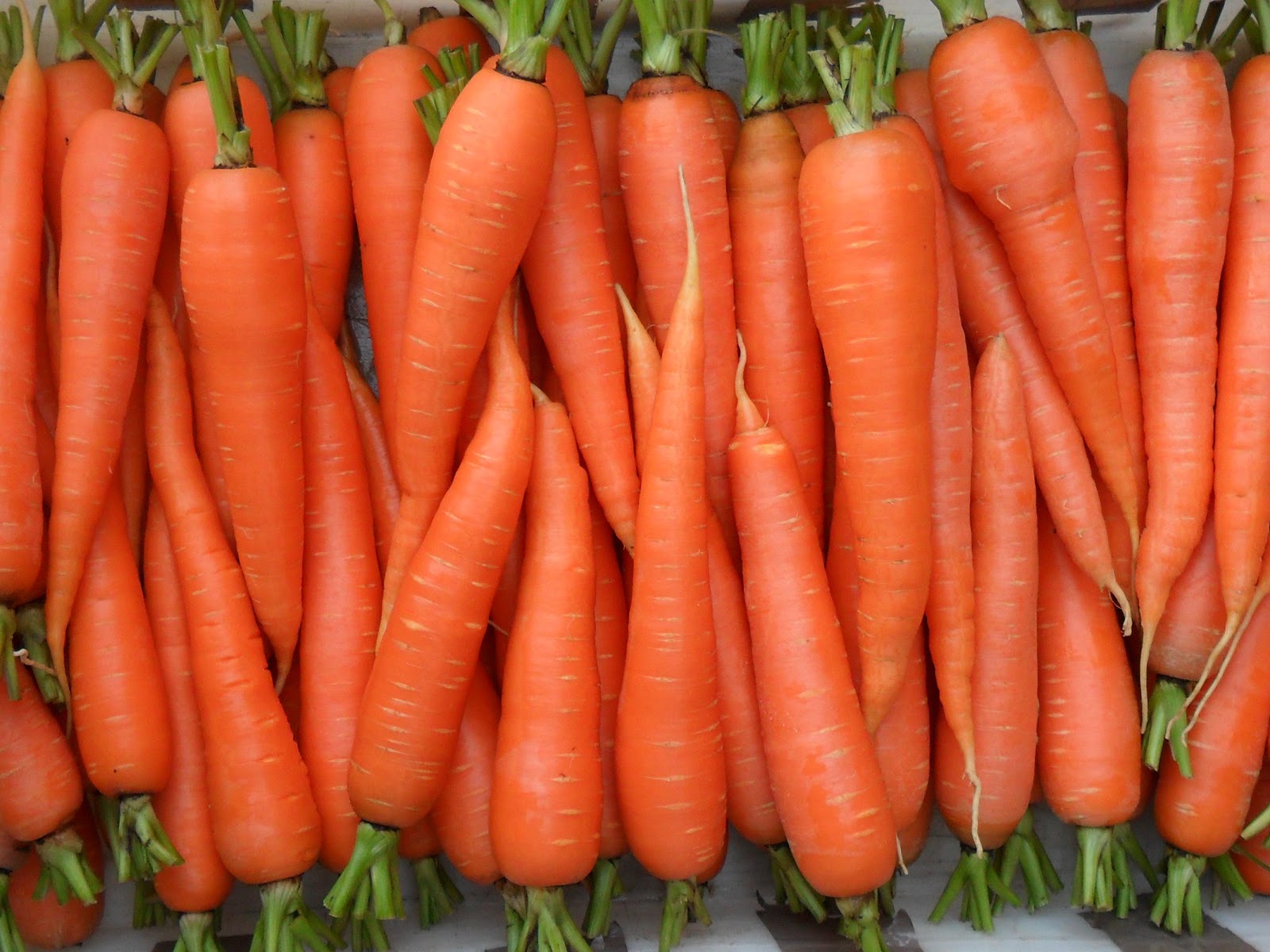 На омской границе задержали 40 тонн казахстанской моркови и картофеля