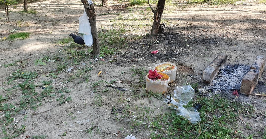 Аким Павлодарской области возмутился горами мусора на берегу, где сам наводил порядок