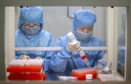 В России начались испытания вакцины от коронавируса на животных