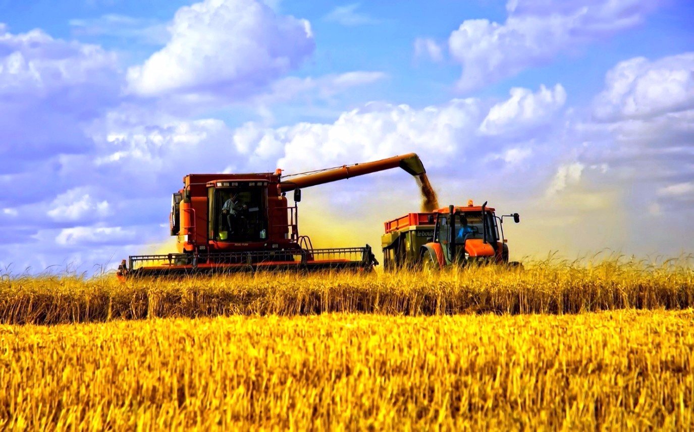 Экспорт сельхозпродукции из Казахстана вырос на 7,4%
