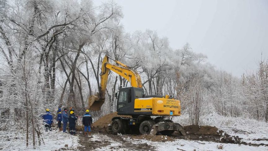 В Алматы вырубили 11 тысяч деревьев ради строительства ТРЦ. Слушаний по сносу не было