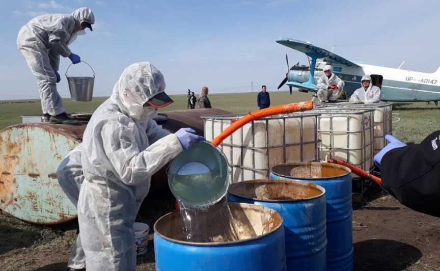 В Павлодар пригласили фирму, погасившую вспышку чумы в США