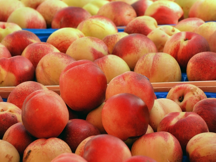 В Омск хотели ввезти почти десять тонн опасных персиков с плодожоркой