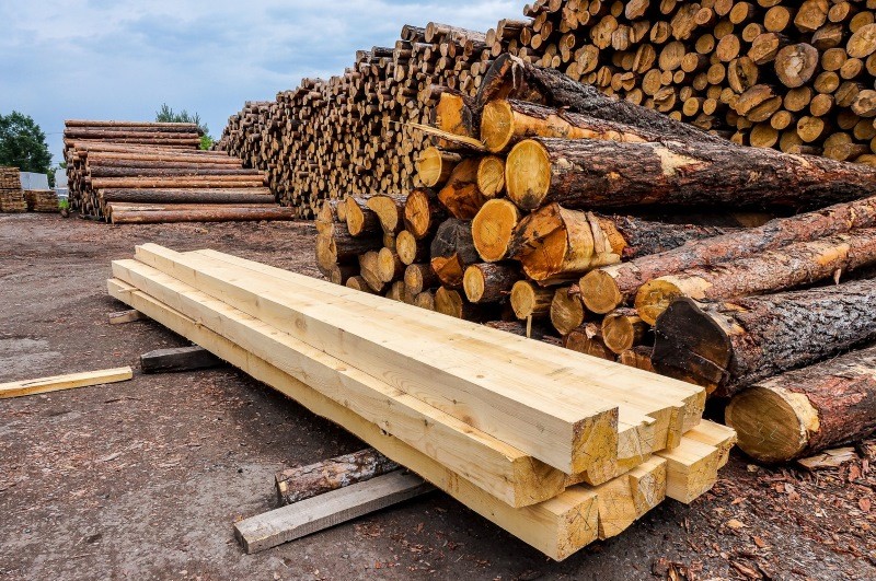 В Костанай не довезли 20 кубометров лесоматериалов