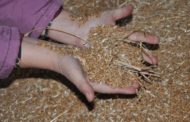 Из Челябинской области пытались вывезти 1,4 тысячи тонны зерна в Казахстан