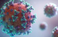 Как коронавирус влияет на организм человека