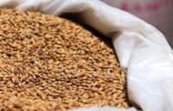 Российские мошенники продали жителю Казахстана виртуальное зерно