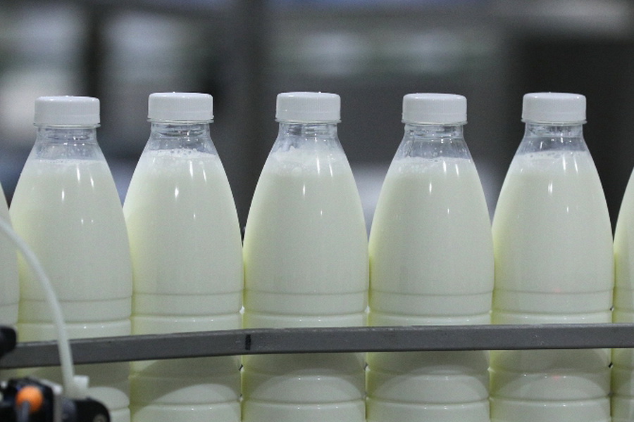Почему в РК восстановленное молоко больше не будут обозначать как «молочный напиток»