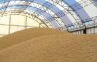 Правила по управлению резервным запасом зерна утвердили в РК