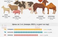 В Казахстане дорожают все виды мяса. Инфографика